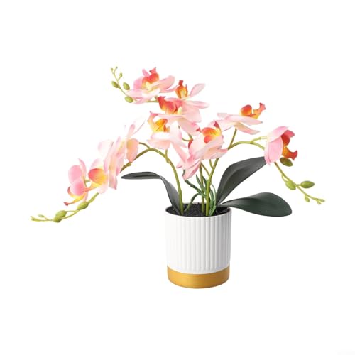 Lebensechte Orchideen im Bonsai-Stil in Weißgold-Rand, perfekte Ergänzung für jede Tischplatte oder Regaldekoration (Rosa) von Bebykilemi
