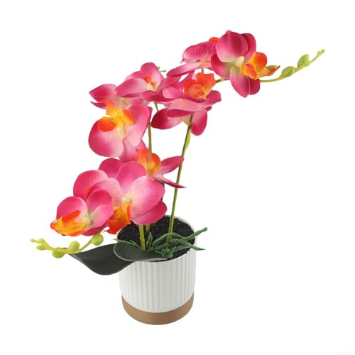Lebensechte Orchideen im Bonsai-Stil in Weißgold-Rand, perfekte Ergänzung für jede Tischplatte oder Regaldekoration (Rosarot) von Bebykilemi