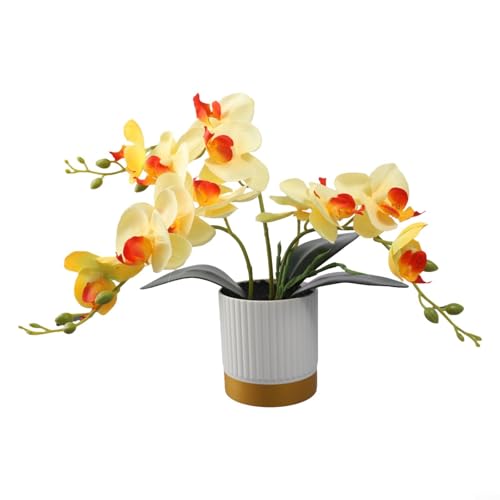 Lebensechte Orchideen im Bonsai-Stil in Weißgold-Rand, perfekte Ergänzung für jede Tischplatte oder Regaldekoration (gelb) von Bebykilemi