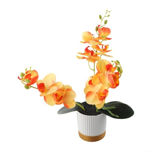 Lebensechte Orchideen im Bonsai-Stil in Weißgold-Rand, perfekte Ergänzung für jede Tischplatte oder Regaldekoration (orange) von Bebykilemi