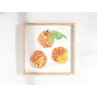 Aquarell Aprikosen Art Print - Moderne Food Illustration Gedruckt Mit Öko-Tinten Auf Nachhaltig Produziertem Papier von BeccaBoyceStudio