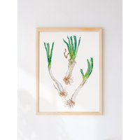 Handgemalte Calçot Lauch Kunstdruck - Aquarell Food Illustration Gedruckt Mit Öko-Tinten Auf Nachhaltig Bezogenem Papier von BeccaBoyceStudio