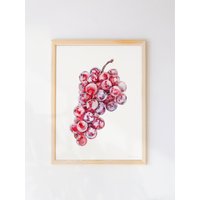 Rote Trauben Kunstdruck - Aquarell Mediterrane Lebensmittel Illustration Gedruckt Mit Öko-Tinten Auf Nachhaltig Produziertem Papier von BeccaBoyceStudio