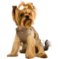 Bechiva Weiches Echtleder Geschirr Für Kleine Hunde/Katzen. Chihuahua, Yorkshire Terrier, Etc. Hochwertiges, Handgefertigtes Luxusprodukt. Bronze von Bechiva