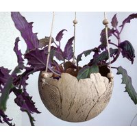 Blumenampel Ø 13cm Baumscheibe Hängeampel Aus Keramik Blumenampel Ø 13cm Baumscheibe Hängeampel Aus Keramik von BeckKeramik