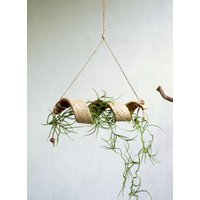 Spirale Für Tillandsien, Keramik, Beige-Braun Spirale Für Tillandsien, Keramik, Beige-Braun von BeckKeramik