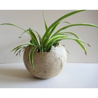 Übertopf Ø 13cm , Blumentopf Baumscheibe Kugelübertopf Aus Keramik Übertopf Ø 13cm , Blumentopf Baumscheibe Kugelübertopf Aus Keramik von BeckKeramik