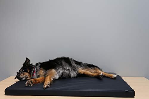 Beckers Beste Tiernahrung - Hundebett für kleine und Grosse Hunde aus Kunstleder in Anthrazit 120cm x 75cm x 5cm - Hundekissen rutschfest und waschbar - Für Auto, Hundebox, als Hundematte für Zuhause von Beckers Beste Tiernahrung