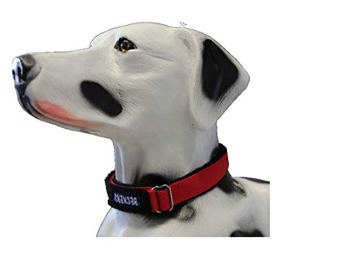 Beckers Beste Tiernahrung - Hundehalsband Nylon für große und kleine Hunde - Halsband in 40-60 cm Orange gepolstert - Klickverschluss von Beckers Beste Tiernahrung
