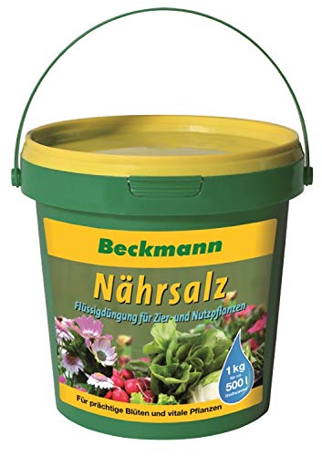 BIG Nährsalz Dünger für Nutz- und Zierpflanzen 1 kg von Beckmann im Garten