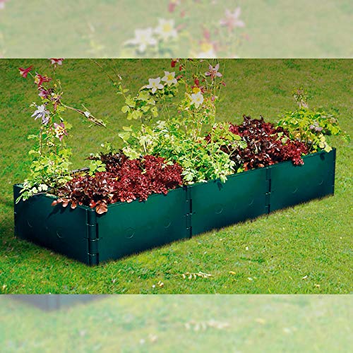 Beckmann BCM Variables Hochbeet Größe 1 Höhe 25 cm Grün von Beckmann