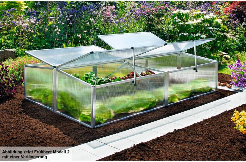 Beckmann Frühbeet Typ Allgäu - Modell 2, BxTxH: 100x120x40/47 cm Beckmann Frühbeet Typ Allgäu - Modell 2, BxTxH: 100x120x40/47 cm von Beckmann