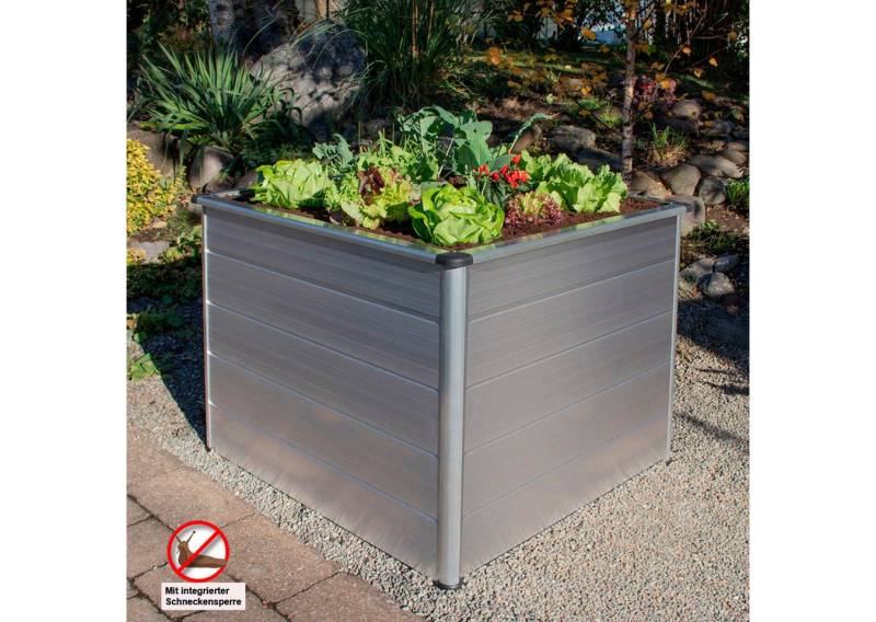Beckmann Hochbeet Erntewunder Größe 1, BxTxH: 101x91x75,5 cm Beckmann Hochbeet Erntewunder Größe 1, BxTxH: 101x91x75,5 cm von Beckmann