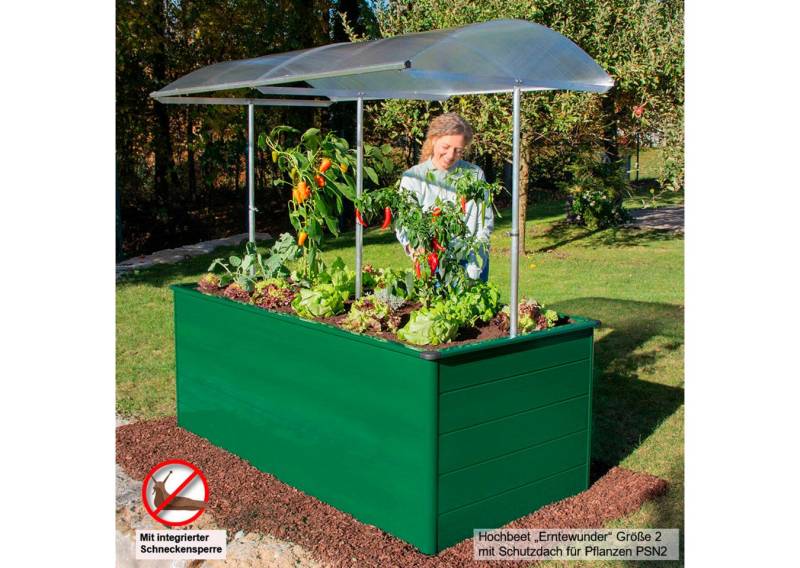 Beckmann Hochbeet Erntewunder Größe 2, BxTxH: 201x91x75,5 cm Beckmann Hochbeet Erntewunder Größe 2, BxTxH: 201x91x75,5 cm von Beckmann