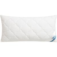 Beco Kopfkissen "EcoWell" Füllung: Polyester 1 Stk. tlg. Kissen in den Größen 40x80 cm und 80x80 cm erhältlich von Beco