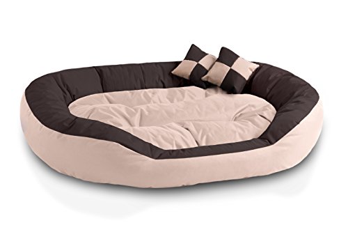 BedDog® 4in1 Hundebett SABA, Wende-Hunde-Kissen oval-rund, großes Hundekörbchen, abwischbares Hundebett mit Rand, für drinnen, draußen, XXL, Melange, beige-braun von BedDog