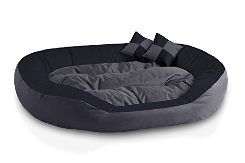 BedDog® 4in1 Hundebett SABA, Wende-Hunde-Kissen oval-rund, großes Hundekörbchen, abwischbares Hundebett mit Rand, für drinnen, draußen, XXL, Rock-Flow, anthrazit-grau von BedDog