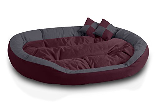 BedDog® 4in1 Hundebett SABA, Wende-Hunde-Kissen oval-rund, großes Hundekörbchen, abwischbares Hundebett mit Rand, für drinnen, draußen, XXXL, Cherry-Rock, Bordeaux-grau von BedDog