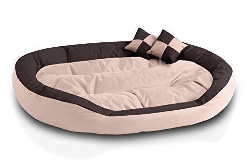 BedDog® 4in1 Hundebett SABA, Wende-Hunde-Kissen oval-rund, großes Hundekörbchen, abwischbares Hundebett mit Rand, für drinnen, draußen, XXXL, Melange, beige-braun von BedDog