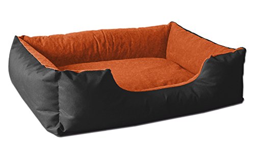 BedDog® Hundebett LUPI, Hundesofa aus Cordura, Microfaser-Velours, waschbares Hundebett mit Rand, Hundekissen Vier-eckig, für drinnen, draußen, S, ORANGE-Garden, schwarz-orange von BedDog