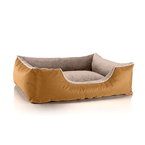 BedDog Hundebett Teddy flauschig, Hundekissen mit abziehbaren waschbaren Bezug, Hundekorb, Hundesofa, für mittel-große Hunde, L, Gold-beige von BedDog