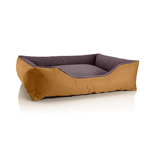 BedDog Hundebett Teddy flauschig, Hundekissen mit abziehbaren waschbaren Bezug, Hundekorb, Hundesofa, für mittel-große Hunde, XL, Gold-braun von BedDog