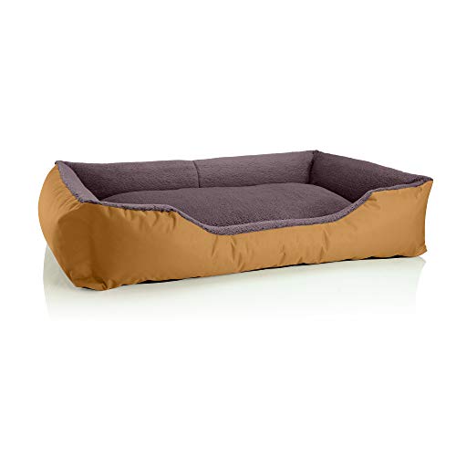 BedDog Hundebett Teddy flauschig, Hundekissen mit abziehbaren waschbaren Bezug, Hundekorb, Hundesofa, für große Hunde, XXL, Gold-braun von BedDog