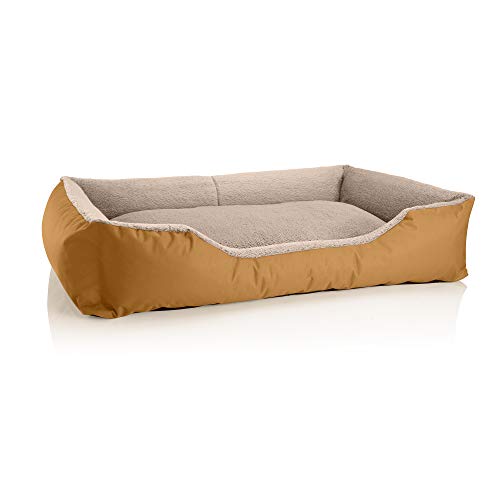 BedDog Hundebett Teddy flauschig, Hundekissen mit abziehbaren waschbaren Bezug, Hundekorb, Hundesofa, für große Hunde, XXXL, Gold-beige von BedDog