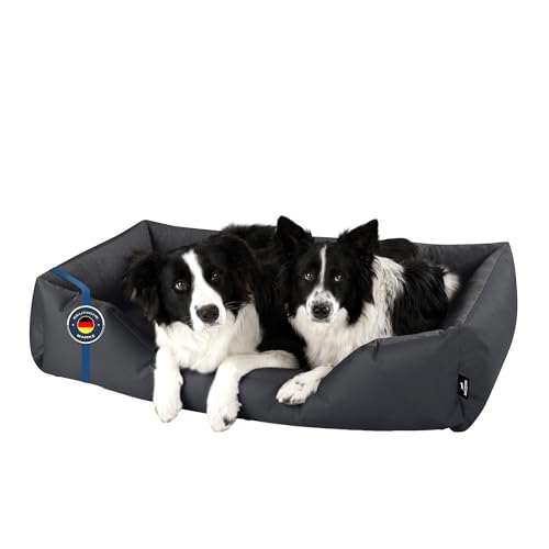 BedDog Hundebett Zara, Hundekissen mit abziehbaren waschbaren Bezug, Hundekorb, Hundesofa, für große Hunde, XXXL von BedDog