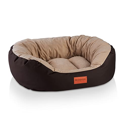 BedDog Hundebett Mittelgroße Hunde - Hundekissen L - Hundekorb - Hundekörbchen - Hundesofa - Hundebetten für Mittelgroße Hunde - Dog Bed - Hunde Bett - Körbchen Hund Alicante-Gewebe von BedDog