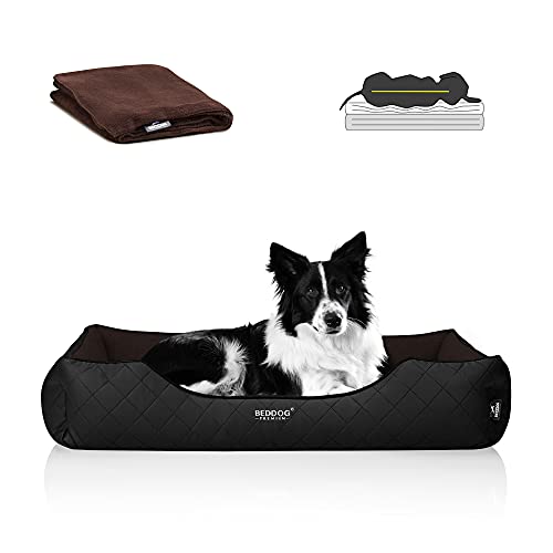 BedDog Premium Orthopädisches Hundebett Buffy, Hundesofa aus Kunstleder, Abnehmbarer Bezug, Kuschel-Decke Zugabe - Mocca (braun/schwarz) von BedDog