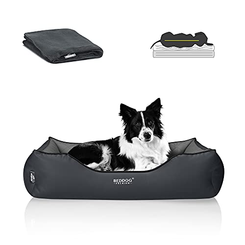 BedDog Premium Orthopädisches Hundebett Buffy, Hundesofa aus Kunstleder, Abnehmbarer Bezug, Kuschel-Decke Zugabe - Rock-Flow (grau/grau) von BedDog