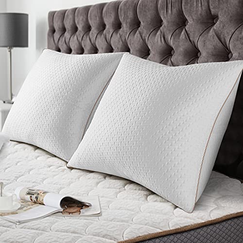 BedStory Bambus-Kissen, 60 x 60 cm, 2 Stück, mit abnehmbaren Milbenbezügen, antiallergische Kissen mit Füllung 10% 7D und 90% 3D-Fasern, Polyester-Kissen, Hotel-Qualität BedStory Bambus-Kissen, 60 x 60 cm, 2 Stück, mit abnehmbaren Milbenbezügen, antiallergische Kissen mit Füllung 10% 7D und 90% 3D-Fasern, Polyester-Kissen, Hotel-Qualität von BedStory
