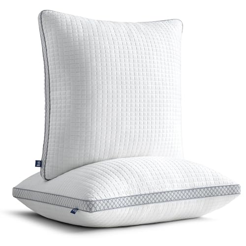 BedStory kopfkissen 40x40 mit abziehbarem Bezug,Verstellbare Faserfüllung Kissen mit reißverschluss, Hotel Kissen 2er Set aus 400g x 2 mikrofaser, Waschbares nackenkissen für Allergiker BedStory kopfkissen 40x40 mit abziehbarem Bezug,Verstellbare Faserfüllung Kissen mit reißverschluss, Hotel Kissen 2er Set aus 400g x 2 mikrofaser, Waschbares nackenkissen für Allergiker von BedStory