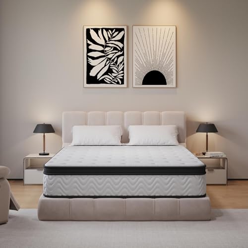 BedsPick Queen-Matratze, 30,5 cm Hybrid-Matratze in einer Box, Memory-Schaum und einzelne Taschenfedern für Bewegungsisolation & ruhigen Schlaf, mittelfest, CertiPUR-US, 100 Nächte Probe BedsPick Queen-Matratze, 30,5 cm Hybrid-Matratze in einer Box, Memory-Schaum und einzelne Taschenfedern für Bewegungsisolation & ruhigen Schlaf, mittelfest, CertiPUR-US, 100 Nächte Probe von BedsPick