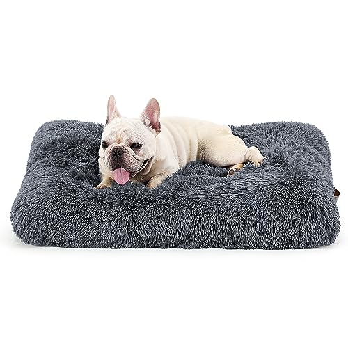 Bedsure Flauschiges Hundebett kleine Hunde - 61x45x7 cm Hundebett waschbar für kleine und mittelgroße Hunde, plüsch Hundekissen kleine Hunde, grau von Bedsure