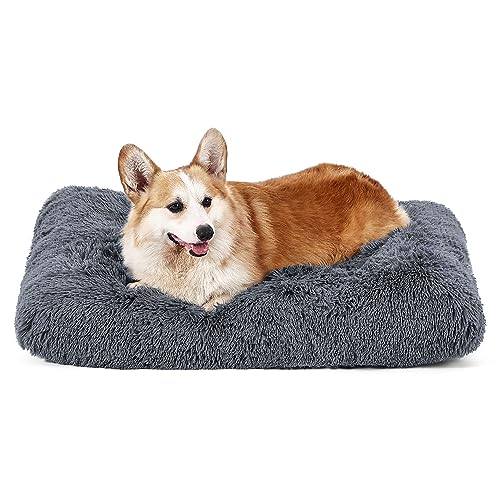 Bedsure Flauschiges Hundebett mittelgroße Hunde - 74x53x8 cm Hundebett waschbar für mittelgroße und große Hunde, plüsch Hundekissen mittelgroße Hunde, grau von Bedsure