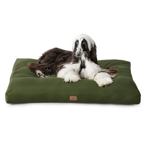 BEDSURE Hundekissen Grosse Hunde waschbar - 120x90cm hundematratze XXL für große, mittelgroße Hunde Outdoor gepolstert Hundematte grün in 10cm Höhe?XL Kühlmatte für Haustiere BEDSURE Hundekissen Grosse Hunde waschbar - 120x90cm hundematratze XXL für große, mittelgroße Hunde Outdoor gepolstert Hundematte grün in 10cm Höhe?XL Kühlmatte für Haustiere von BEDSURE