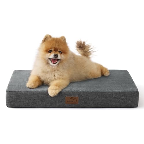 BEDSURE orthopädisches Hundekissen kleine Hunde - 61x41x8cm waschbares Hundebett mit 2 in 1 Memoryschaum, kuscheliges Hundematte Hundematratze, dunkelgrau von BEDSURE