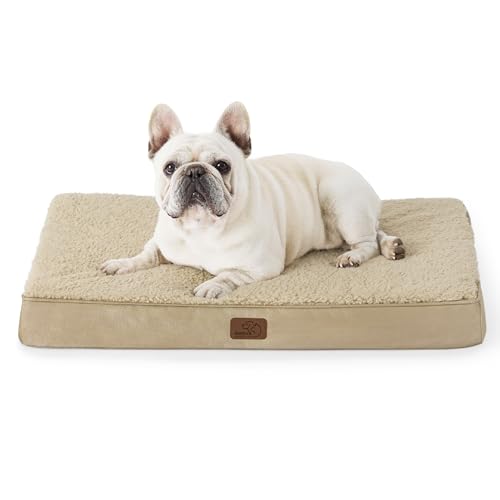 Bedsure orthopädisches Hundebett kleine Hunde - 76x51x7.6cm Hundekissen flauschig Hundematte waschbar Hundematratze für kleine Hunde, beige von Bedsure