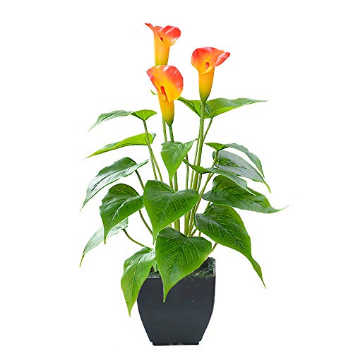 Künstliche Blume, Calla-Lilien, künstliche kleine Topfpflanze mit schwarzem Topf, künstliche Bonsai-Blume für Zuhause, Büro, Innen- und Außenbereich, Dekoration (orangefarbene Kunstblume) von Beebel