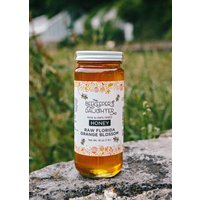 1lb Roh Florida Orange Blüten Honig von BeekeepersDaughterUS