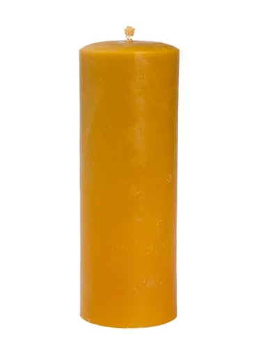 BeesWax World Bienenwachskerzen – Handgefertigte Stumpenkerzen aus 100% natürlichem Bienenwachs – Rauchfrei & lang brennend mit Baumwoll-Docht – 6 Größen – Geschenkidee & Deko – Made in EU (XL) von BeesWax