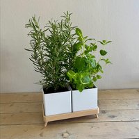 Doppelter Pflanztopf Mit Tablett | Kräutertopf Set Für Küche & Fensterbank Blumentopf Ablauflöchern Modernes Pflanzgefäß von BeetLiebe