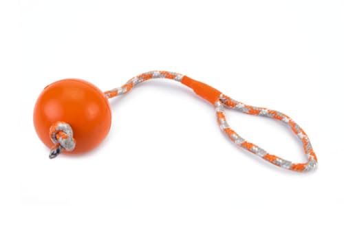 BEEZTEES 625960 Hundespielzeug: Ball mit Seil Ø 6,5cm 30cm ORANGE von Beeztees