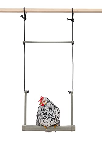 Beeztees Hühnerschaukel, Hühnerzubehör, Huehnerschaukel 40x5x30 cm grau Beeztees Hühnerschaukel, Hühnerzubehör, Huehnerschaukel 40x5x30 cm grau von Beeztees