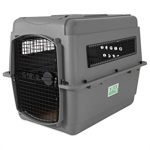 Beeztees 715566 Skykennel Nr 4, 91 x 63 x 68 cm, grau von Petmate