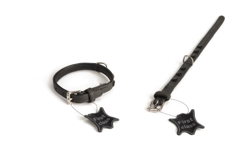 Beeztees 745861 Lederhalsband Stud, 28-31.5 x 1.7 cm, grau Beeztees 745861 Lederhalsband Stud, 28-31.5 x 1.7 cm, grau von Beeztees