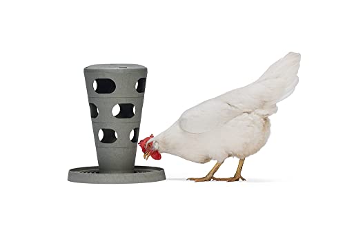 Beeztees Snackturm, Hühnerzubehör, Futterspender für Hühner, Futterturm 30x30x36 cm grau Beeztees Snackturm, Hühnerzubehör, Futterspender für Hühner, Futterturm 30x30x36 cm grau von Beeztees