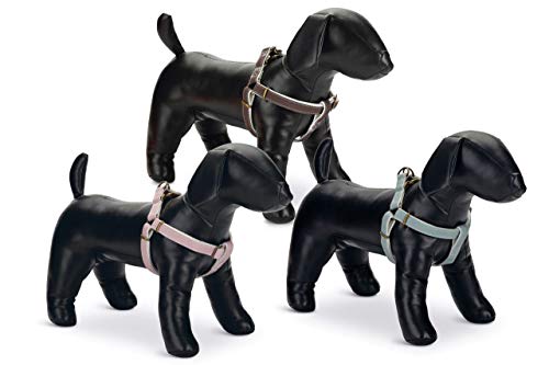 Beeztees Designed by Lotte Hundegeschirr, Nylon, 25 mm x 60-100 cm, Hellrosa von Beeztees